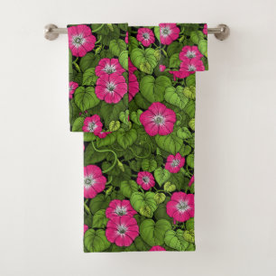 Gloire du matin en rose et vert
