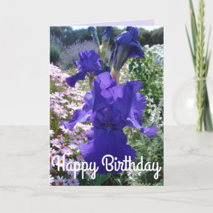 Glorieux violet Iris Fleur Floral Carte Anniversai