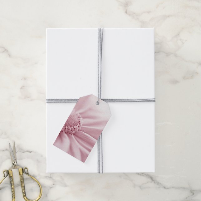 Gloriosa Daisy Macro Geschenkanhänger (Mit Garn)