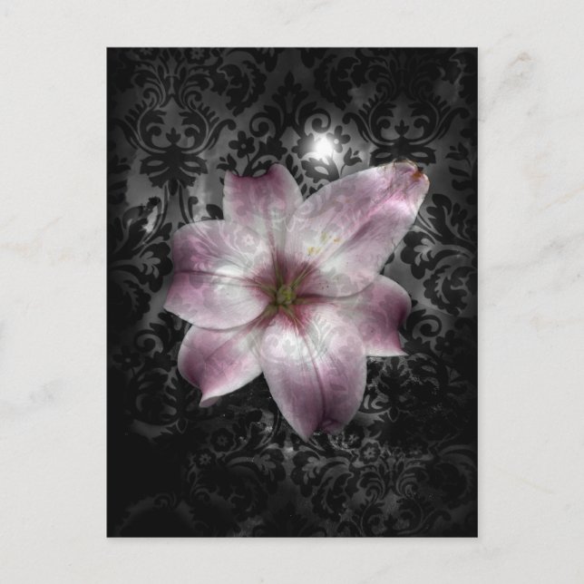 Glorious Mystery Postkarte (Vorderseite)