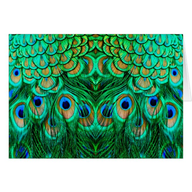 Glorious Peacock Feathers (Vorderseite (Horizontal))