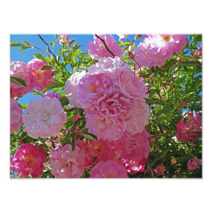 Glorreiche Frühlingsblumen Fotodruck