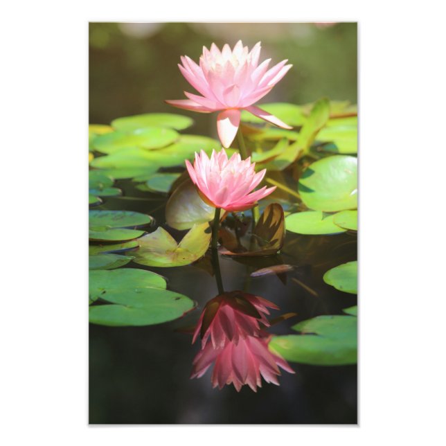 Glorreiche Reflektionen Fotodruck (Vorne)