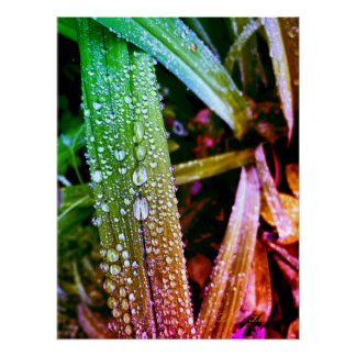 Glosses Poster, Farbreife auf Blätter. Poster