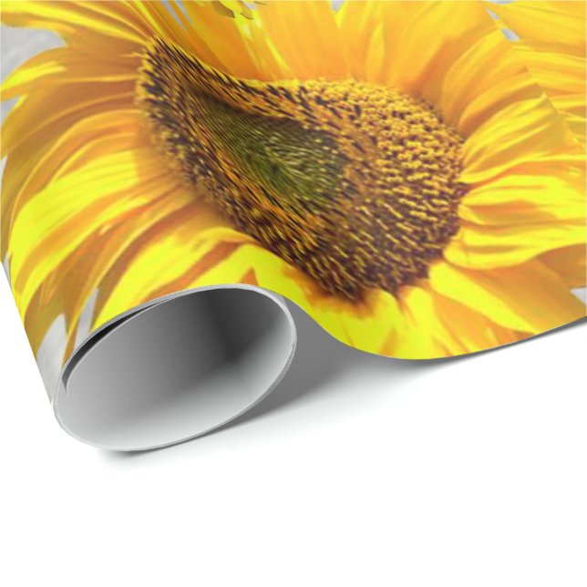 Glosswrapping Paper Cat Kitten Geschenkpapier (Rolleneckpunkt)