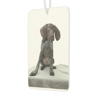Glossy Grizzy Air Freshener Autolufterfrischer