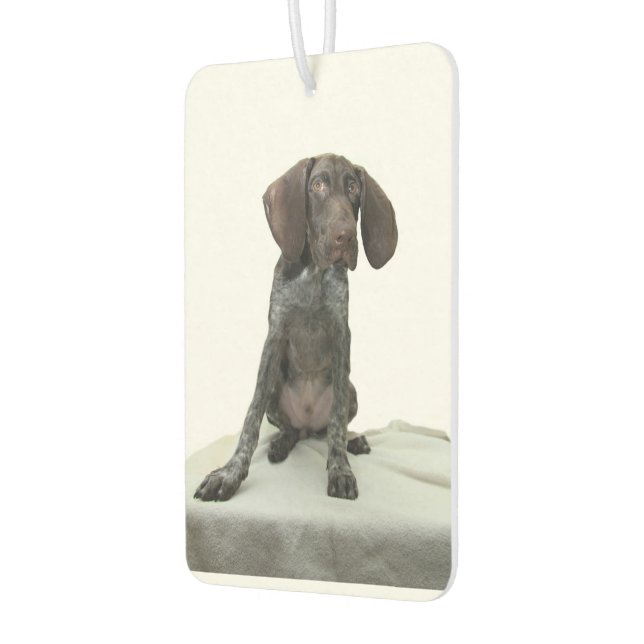 Glossy Grizzy Air Freshener Autolufterfrischer (Links)