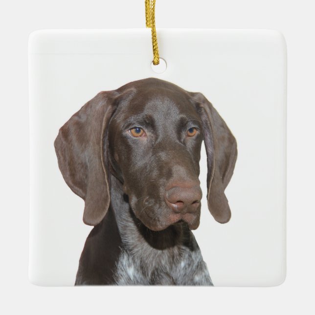 Glossy Grizzy Weihnachtsdekoration Keramikornament (Vorderseite)