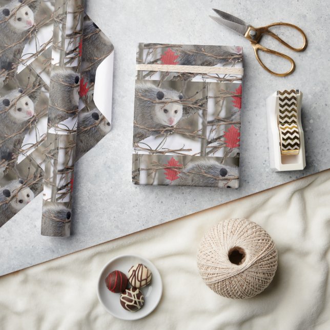 Glossy Wrapping Paper Opossum Nature Geschenkpapier (Kunsthandwerk)