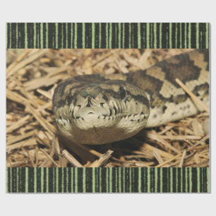 Glossy Wrapping Paper Schlange Geschenkpapier