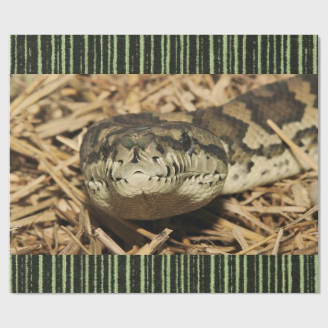 Glossy Wrapping Paper Schlange Geschenkpapier (Flach)