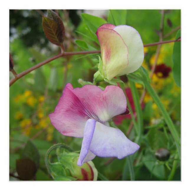 Glossyposter Poster (Vorderseite)