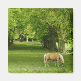 Gloucestershire, Großbritannien Magnet