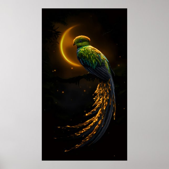 Glow of the Night Feather Poster (Vorne)