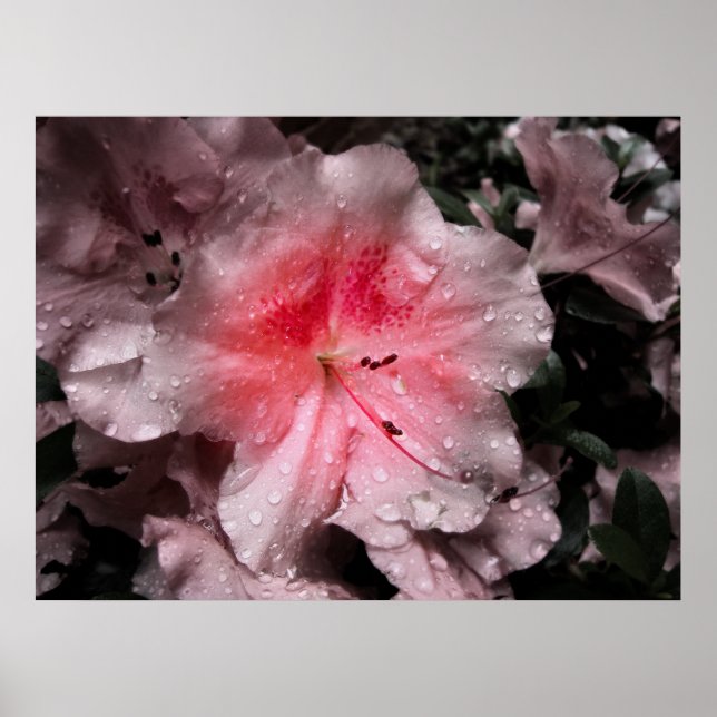 Glow Print Poster (Vorne)