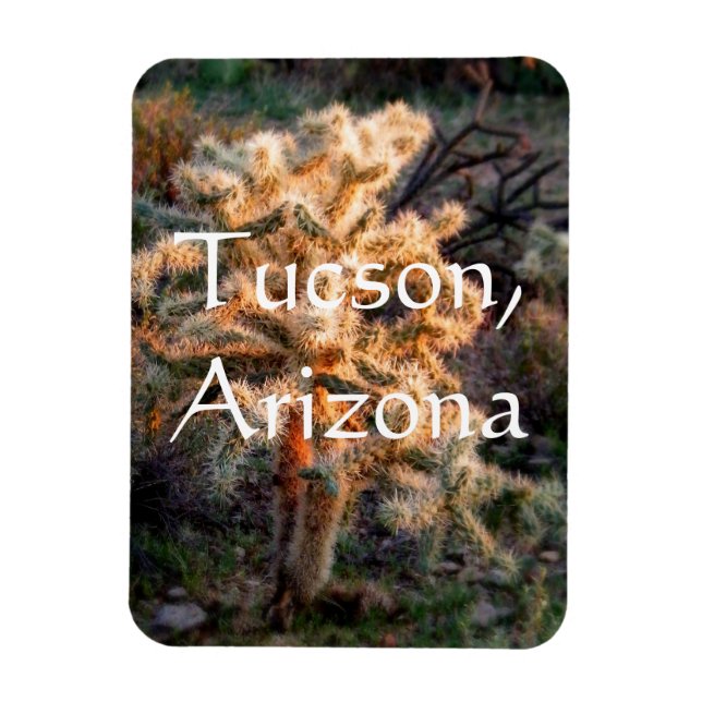 Glowcholla Tucson, Arizona Magnet (Vertikal)