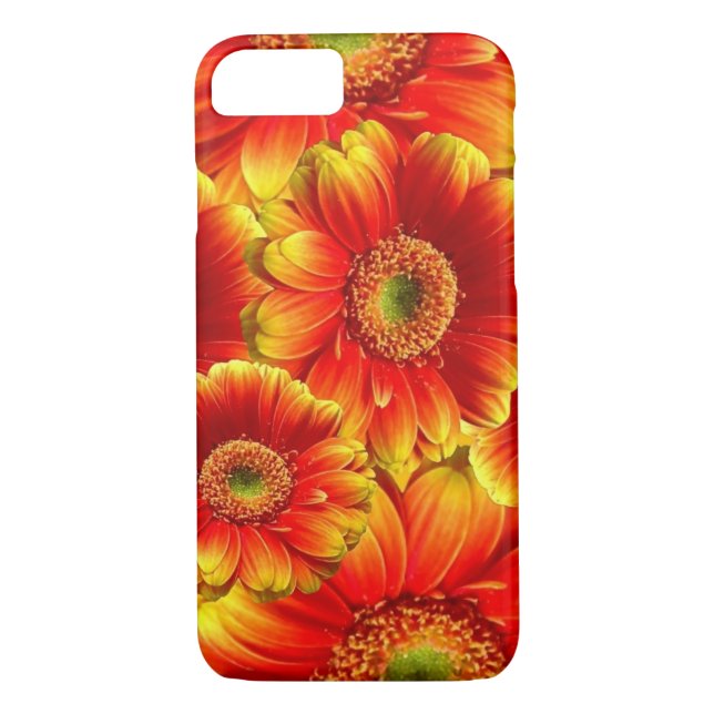 Glows Gerbera Daisies Case-Mate iPhone Hülle (Rückseite)