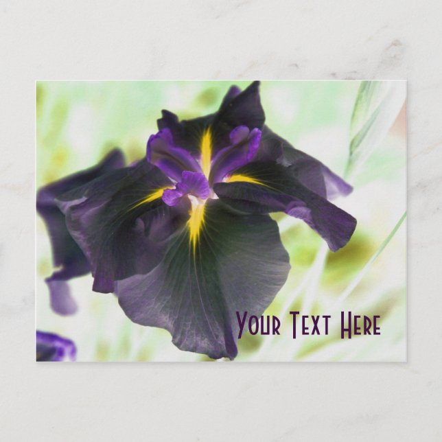 Glows Iris floral Customizable Postcard Postkarte (Vorderseite)