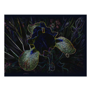Glows Iris Fotodruck