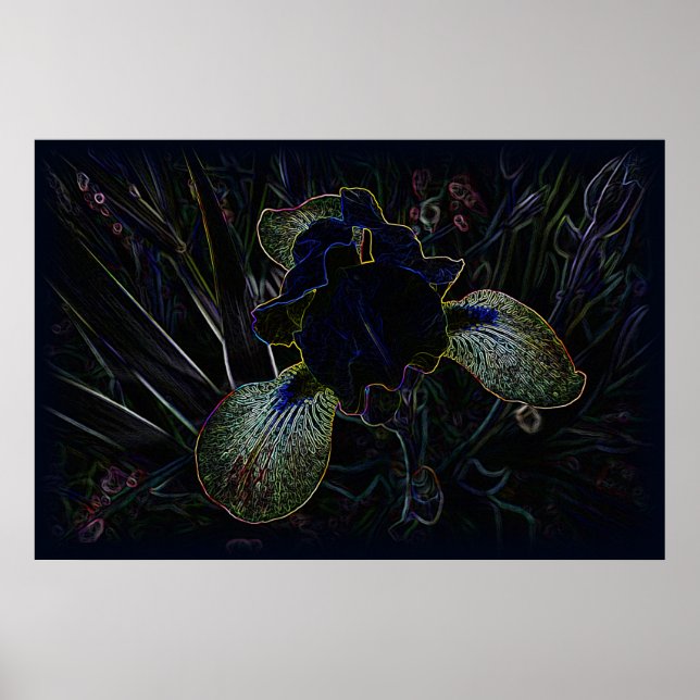 Glows Iris Poster (Vorne)
