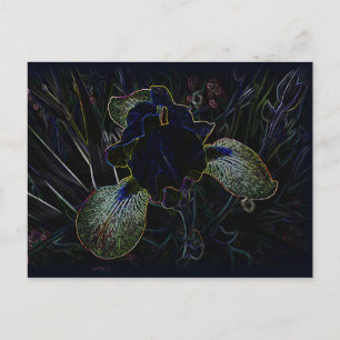 Glows Iris Postkarte