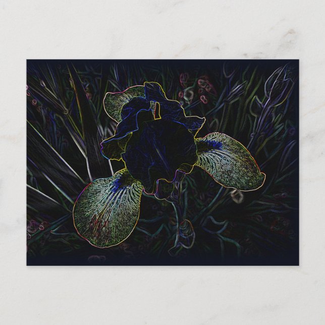 Glows Iris Postkarte (Vorderseite)