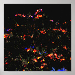 Glows Mimosa Tree Poster