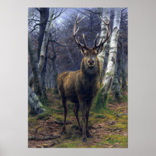 Glück - Der König des Waldes Poster