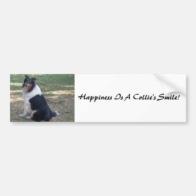 Glück ist ein Collie Lächeln! Autoaufkleber (Vorne)