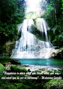 Get Zitate wasserfall For Android