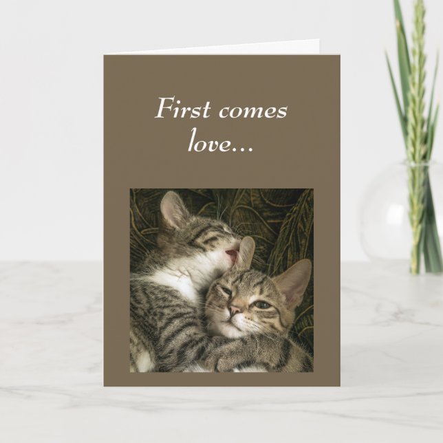 Glück mit Jubiläum Lucky Couple Spaß Cats Karte (Vorderseite)