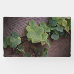 Glück oder Entschlossenheit? Saint Patricks Day Sh Banner