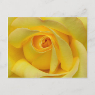 Glück_ Postkarte