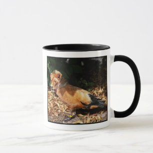 Glück-Tasse Tasse