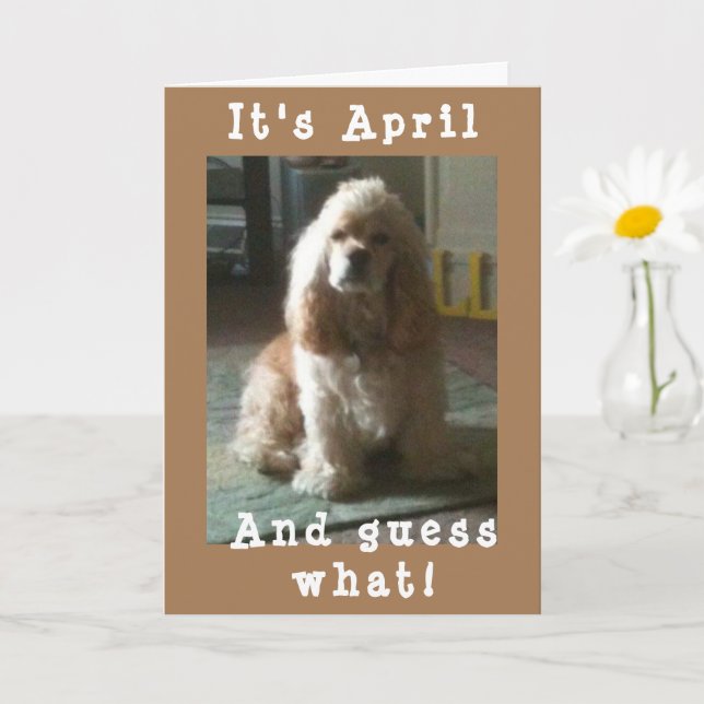 GLÜCKLICH *APRIL* GEBURTSTAG AUS DEM NIEDLICHEN CO KARTE (Kleine Pflanze)