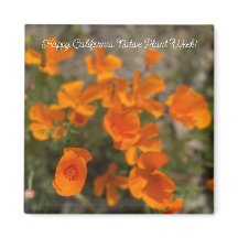 Glücklich California National Pflanze Week!
