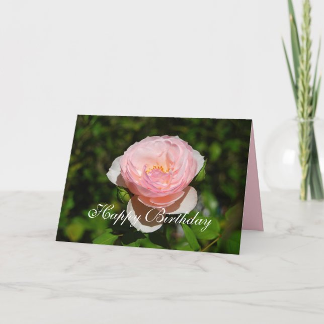Glücklich Geburtstag Pink englische Rose Karte (Vorderseite)