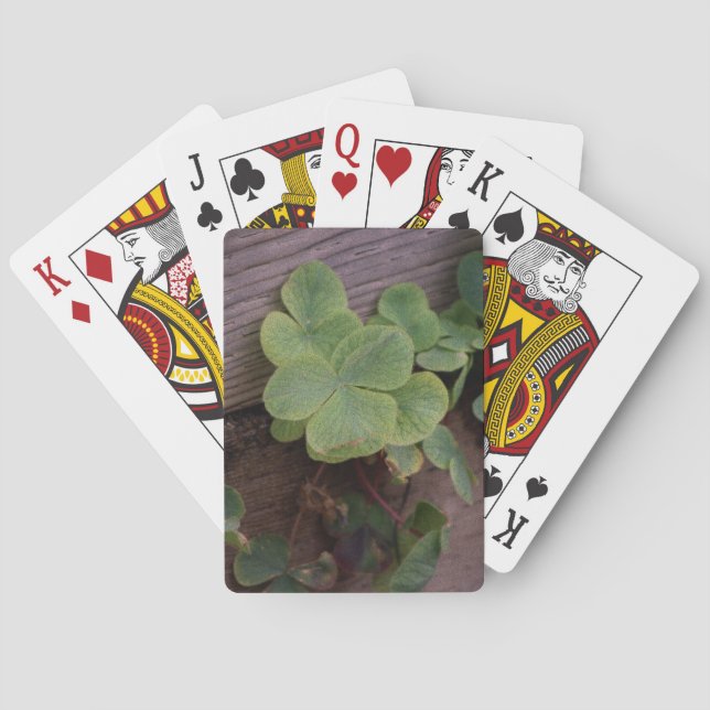 Glücklich oder bestimmt? St. Patricks Day-Kleeblät Spielkarten (Rückseite)