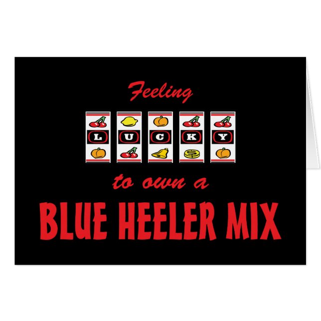 Glücklich zu eigenem ein blauer Heeler (Vorderseite (Horizontal))