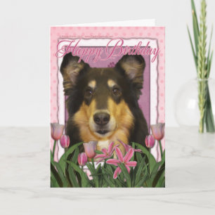 Glücklich zum Geburtstag - Collie - Caroline Karte