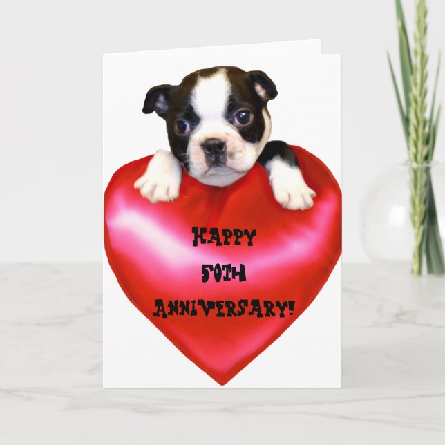 Glückliche 50-jährige Boston Terrier Card Karte (Vorderseite)