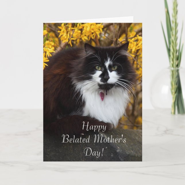 Glückliche Belated Mother's Day Cat Grußkarte Karte (Vorderseite)