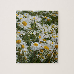 Glückliche Blumenwiese - Glückliches Gesicht läche