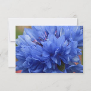 Glückliche Blüten Schmetterling blaue Blumen
