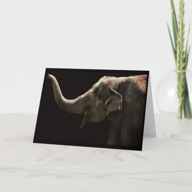 Glückliche Elefant-Leere Karte (Vorderseite)
