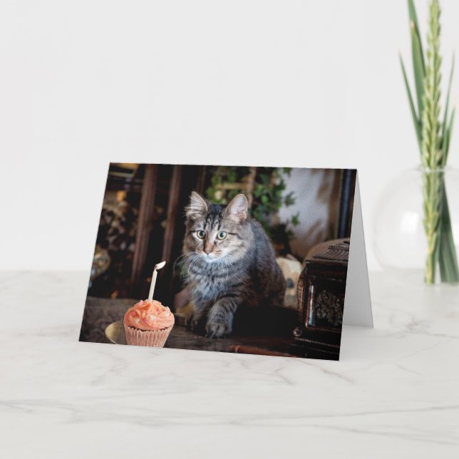 Glückliche Geburtstagskarte mit Katze Karte (Vorderseite)