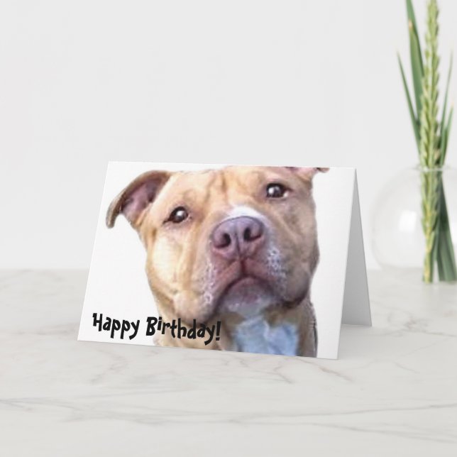 Glückliche Geburtstagskarte Pitbull Karte (Vorderseite)