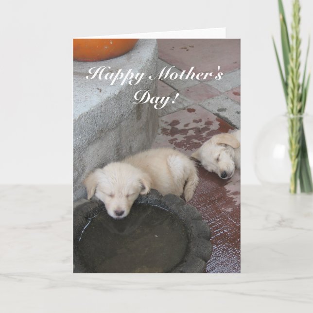 Glückliche golden retrieverwelpenkarte der Mutter Karte (Vorderseite)