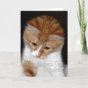 Glückliche Großeltern Tag Oma Niedliche Katze Karte