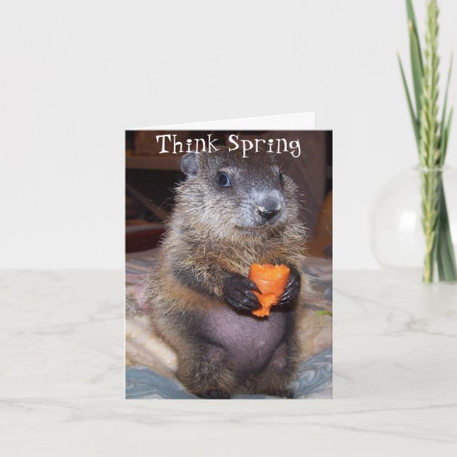 Glückliche Groundhog Day-Karte mit Baby Maude Karte (Vorderseite)